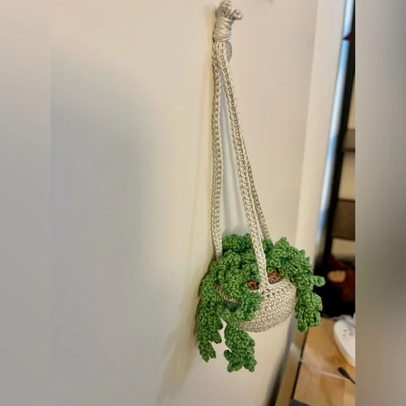 Handcrafted Crochet Hanging Plant Fern Decor Home Car Desk Accessory - Picture 3 of 8